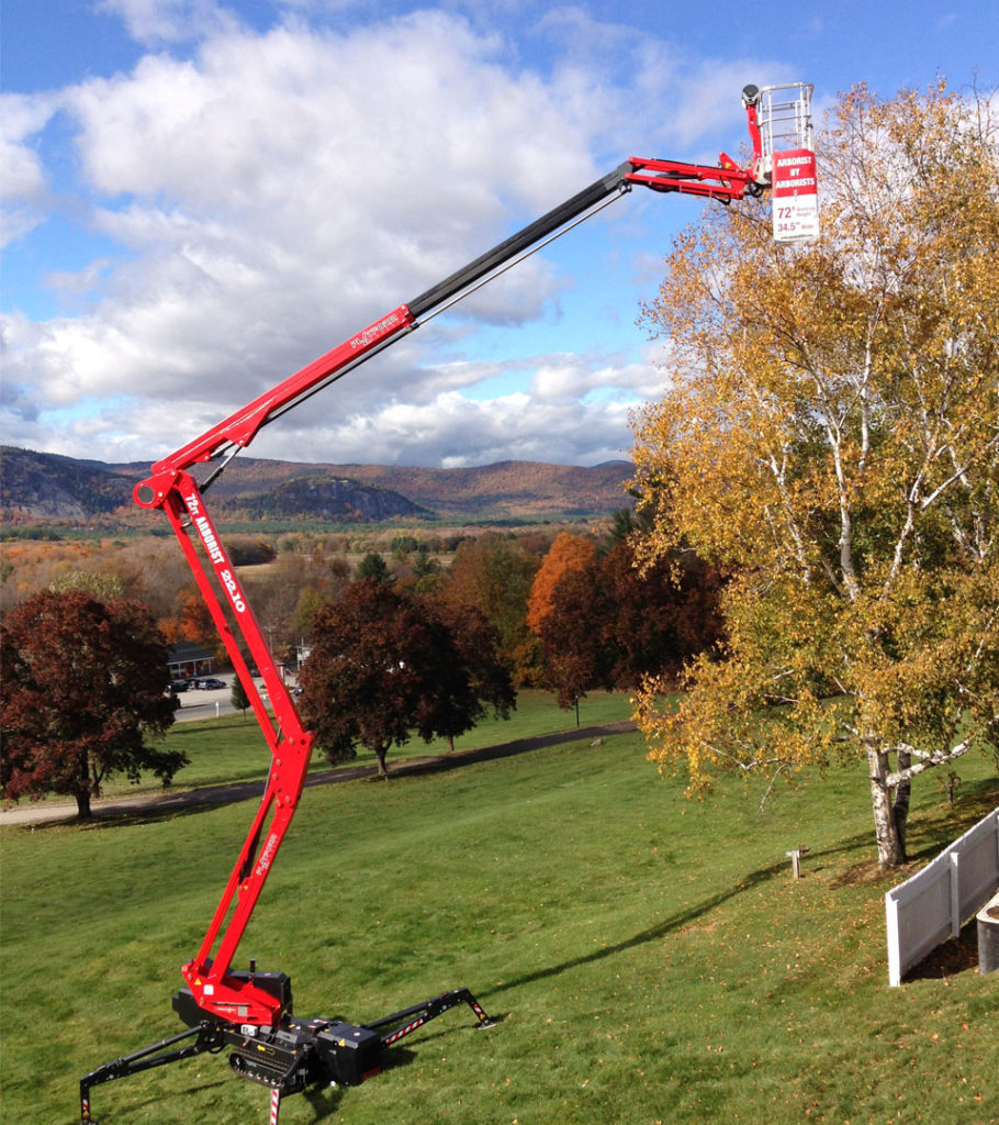 tree-care-in-little-rock-safety-spider-picker